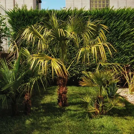 Bed & Breakfast Le Palme & Breakfast 2*